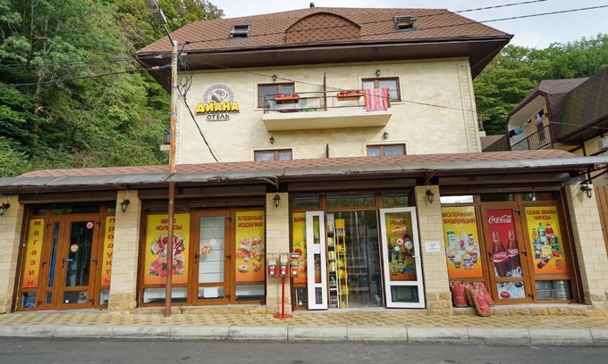 Shepsinskoe Hotel | Diana Hotel