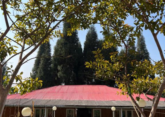 Darjeeling House | Dilpali Home Cum Farm stay
