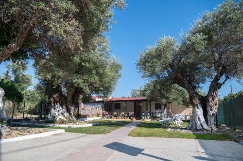 Makri Apartment | Dimitra's Apartment