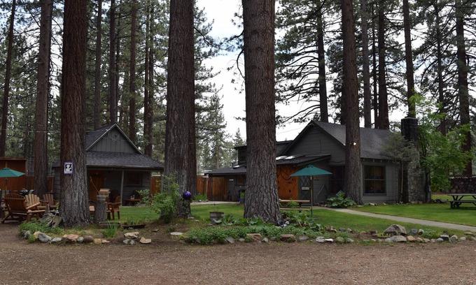 Bijou Park Cabin | Dog Friendly Cabins