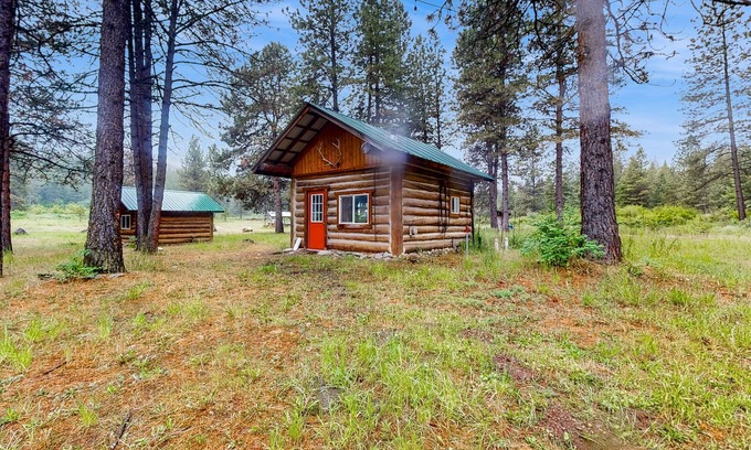 Northport Cabin | Dog-friendly secluded cabin with outdoor dining, grill, hammock, games, & W/D