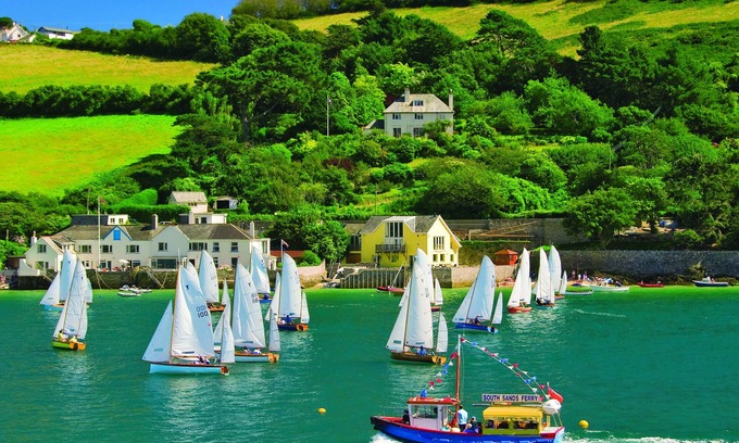 Salcombe Cottage | Dolphins