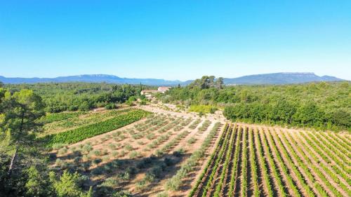 Saint-Maximin-la-Sainte-Baume Cabin | Domaine de Conillières