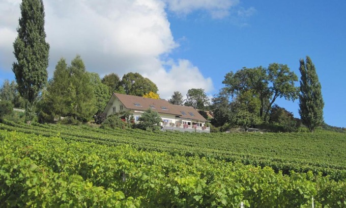 Essertines-sur-Rolle House | Domaine Beauregard