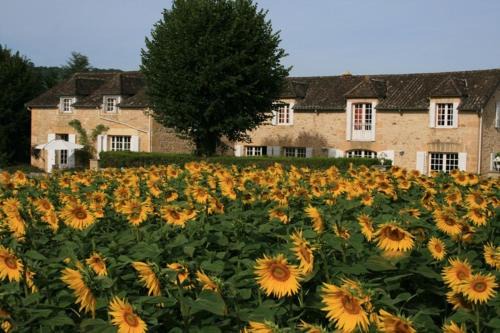 Saint-Vincent-de-Cosse House | Domaine des Hirondelles