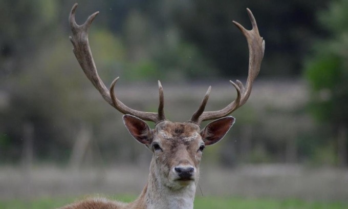 Velaux Bed & Breakfast | Domaine Shambala - gîte en Provence avec une Grande Piscine