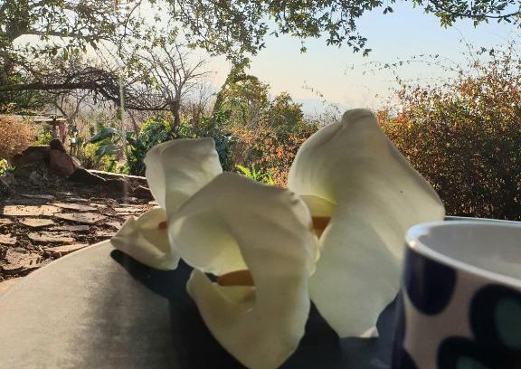 Rustenburg Other | Dombeya Ridge Guest Suite