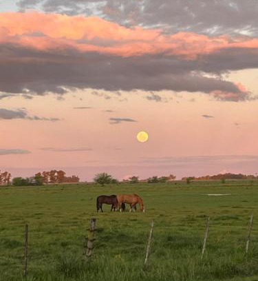 Partido de Carmen de Areco House | Don Luis Bueno