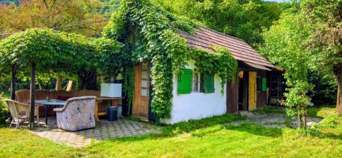 Aggsbach Markt House | Donauhaus - Natur, Kultur, Entspannung & Sport