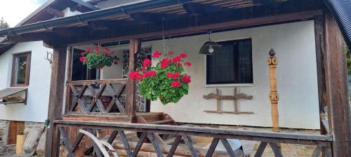 Moldovita House | Doru' Bucovinei