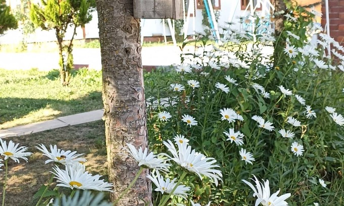 Niksar Hotel | Doruk Garden Hotel Tokat