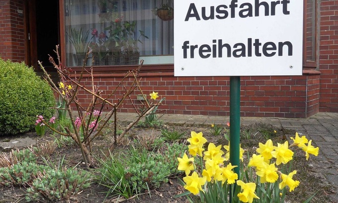 Husum Apartment | Double room Friesenstube - ArtPension EXTENDING FREQUENCY