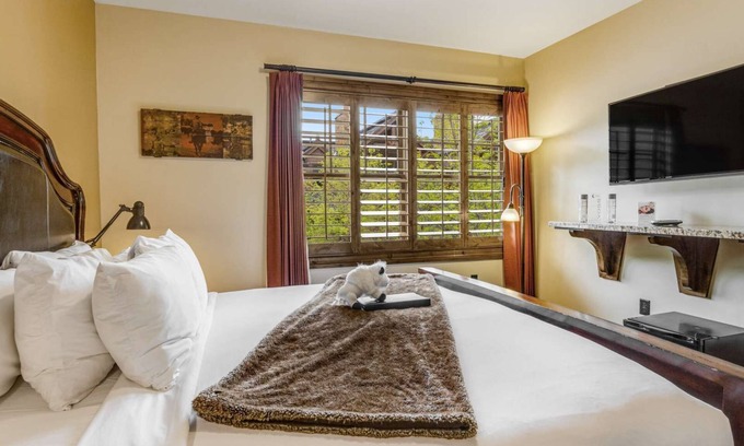 Jackson Hole Hotel | Downtown Jackson - Single King Room
