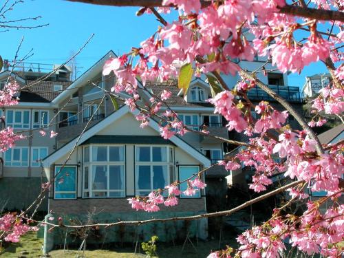 Ren'ai House | Dreamtown
