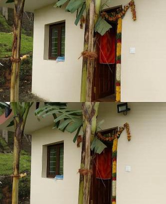 Kodaikanal Resort | Dreamy Wonders House
