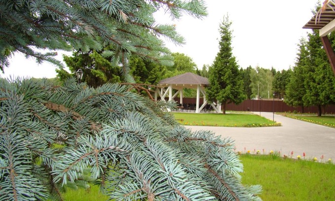 Lukino Hotel | Dubki Hotel