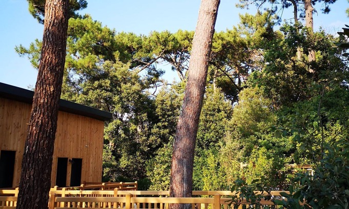 Pyla-sur-Mer Apartment | Duplex Pyla sur Mer, garden, comfortable 250M from the beach