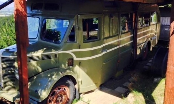 Blenheim Other | Dusk Till Dawn Forrest 360 Views