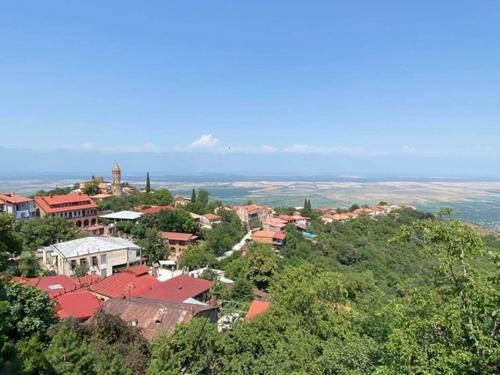 Sighnaghi Hotel | Dzveli Ubani