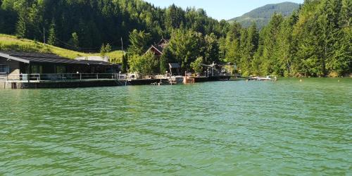 Colibita House | Echilibru