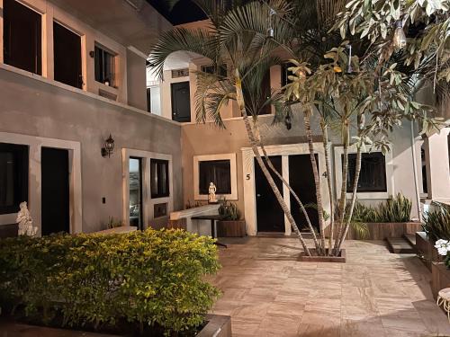 Centro Historico Hotel | Eco-Hotel Black Tree