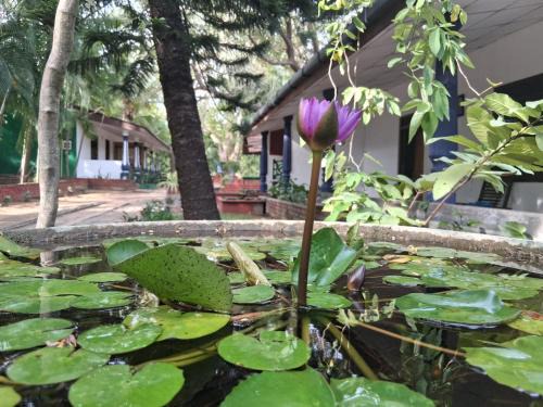 Moragaswewa Cabin | Eco Nature Rest