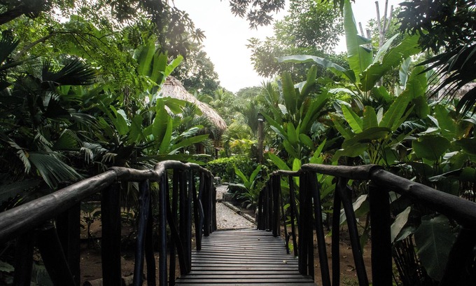 Canaveral Hotel | Ecohabs Bamboo Parque Tayrona