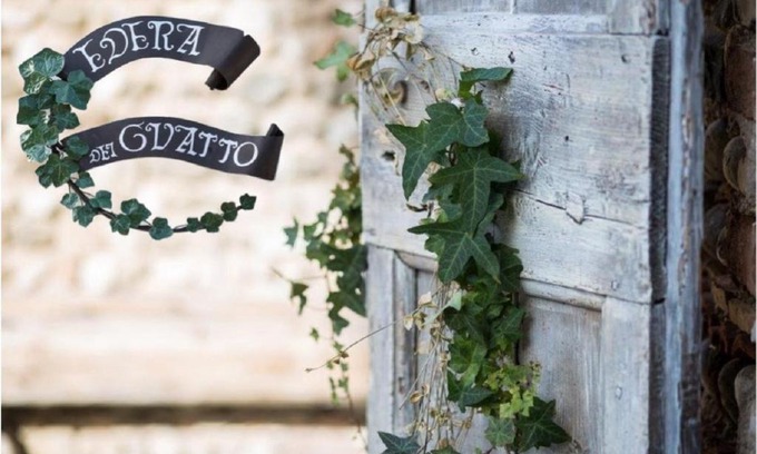 Bertiolo Bed & Breakfast | EDERA dei Guatto