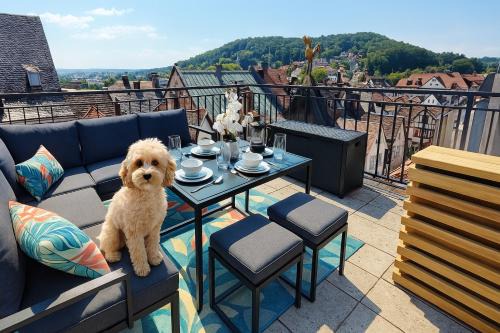 Bad Kissingen Apartment | ELApart by Homely Stay - Moderne Apartments direkt im Stadtzentrum mit Self-Check-in
