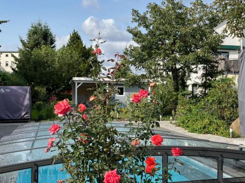 Magdeburg Apartment | Elbidyll