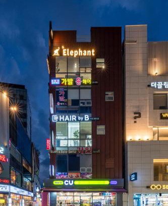 Jung-gu Apartment | Elephant