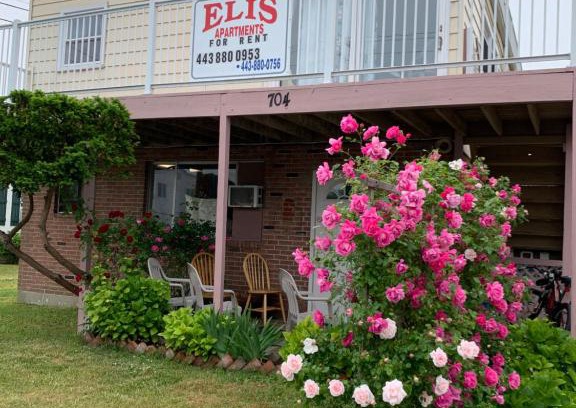 Ocean City Apartment | ELIS APARTMENT
