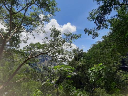 Ella Bed & Breakfast | Ella Nithis Eco Cottages