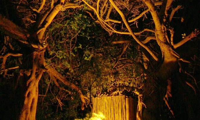 Hluhluwe Cabin | Emdoneni Lodge