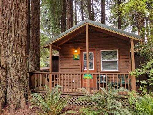 Trinidad Cabin | Emerald Forest Cabins