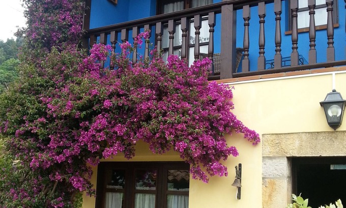 Tresgrandas House | Enjoy the natural paradise of Asturias in our country house El Rosal