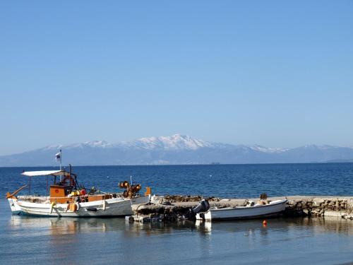 Nea Styra House | Entire cottage near the beach in Nimporio, Euboea