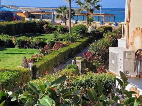 Al-Muntazah Apartment | Excellent location sea and garden view super Lux موقع متميز المعموره الشاطىء و كبير الحجم للعائلات فقط سوبر لوكس مع كارنيهات بوابه الدخول طول العام و الشاطىء الخاص من اول مايو لآخر اكتوبر ويوجد خدمه نزلاء لراحتك