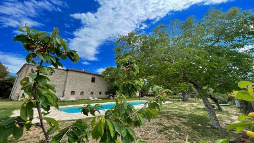 Poreta House | Exclusive Pool-open All Year-spoleto Biofarm-slps 8-village shops, bar1 km 4