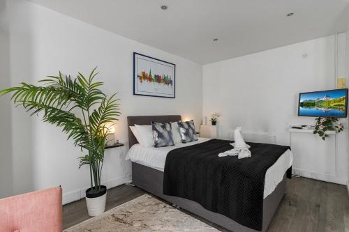 Exeter Apartment | Exeter City Centre Apartments Stoop Apartment