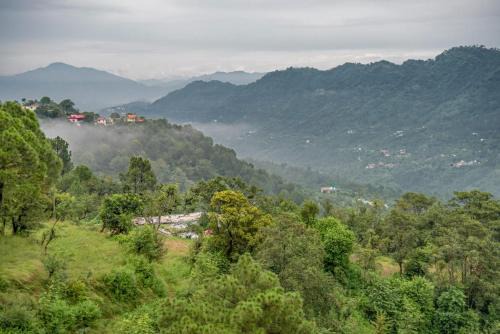 Dharampur Apartment | Exotic Stays I The Mountain Peak I Guaranteed Best Price I Vacations I Family Events I Pet friendly & Serviced Apts I Kasauli