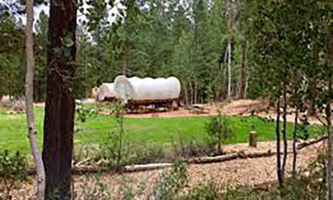 Alton Cabin | Experience the Wild West in Luxury!