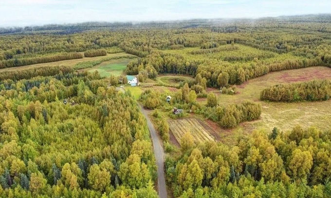 Talkeetna Bed & Breakfast | Falcon's Nest Bed & Breakfast