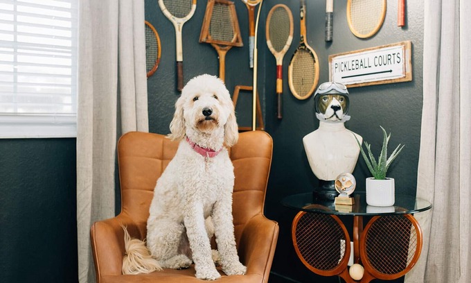 Riverside Heights House | Fall Fun in Tampa - Backyard Pickleball + Relaxing Patio [Pets Welcome!]