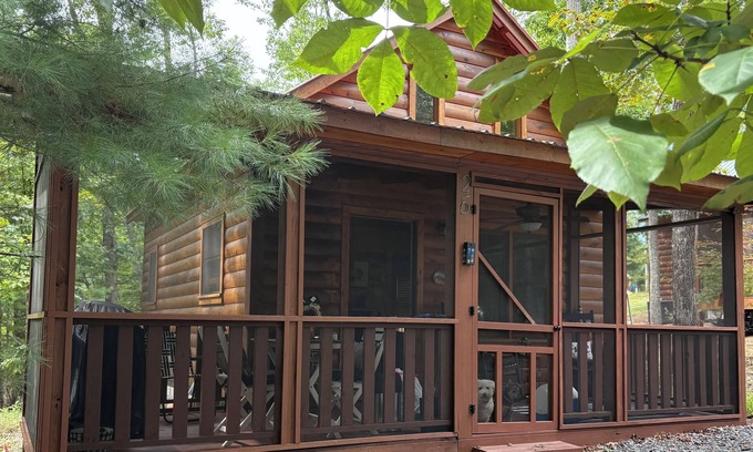 Murphy Cabin | Fall Into Comfort – Tranquil, Pet-Friendly Cabin with Fresh Dates Available!