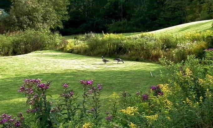 Glenville Cabin | Fall Peak Colors NOW! L.Cabin, HotTub under Cabana, Mtn View, 1 mile to Lake