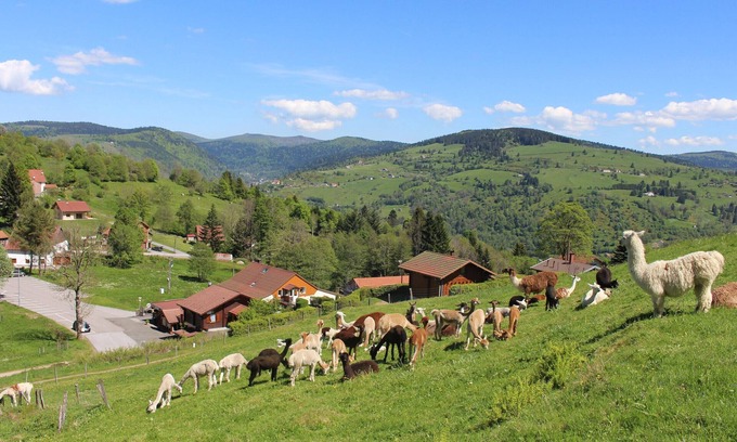 La Bresse Cottage | Family chalet in La Bresse, near hiking trails, WIFI, pets allowed