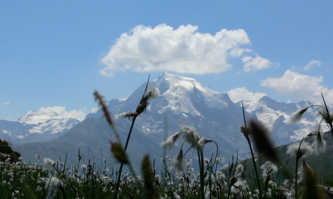 Tubre Apartment | Family-friendly Ortler vacation apartment.