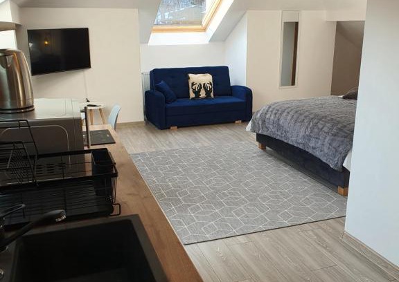 Sinaia Apartment | FAMILY STUDIO