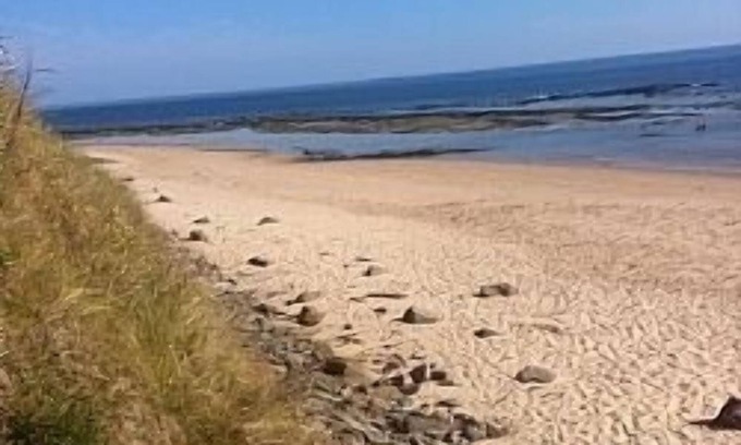 Bamburgh House | Fantastic Family House With Unrivalled Views Of Bamburgh Castle And Holy Island